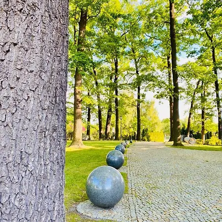 Navigator I Konferencje