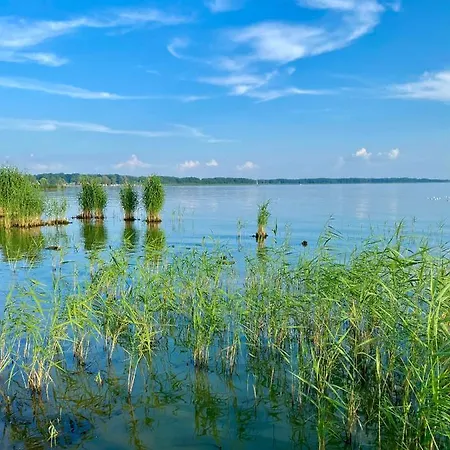 Navigator I Konferencje