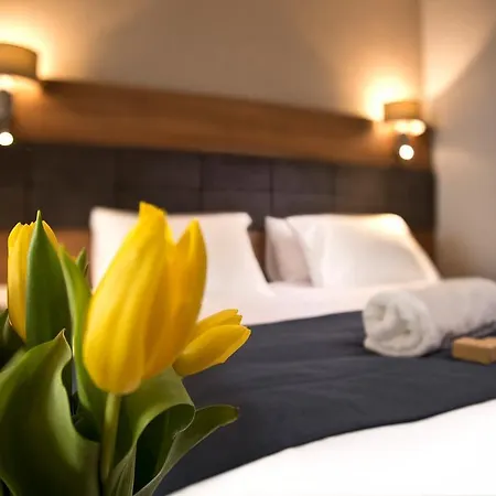 Navigator I Konferencje