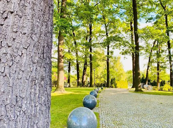 Navigator I Konferencje