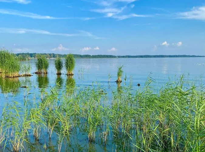 Navigator I Konferencje