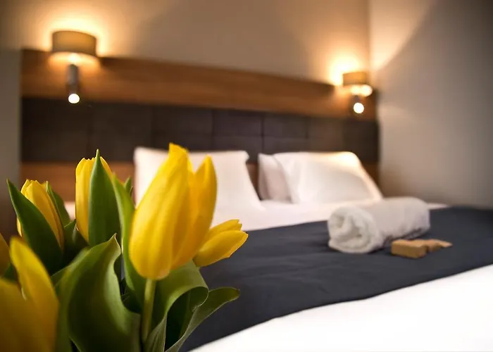 Navigator I Konferencje